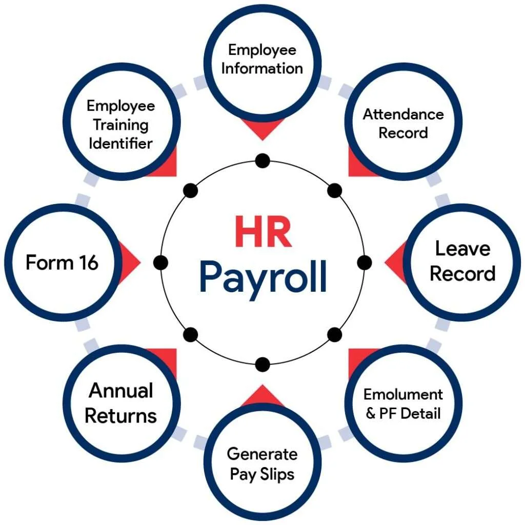 How HR & Payroll Addon can improve your firms’ operational efficiency